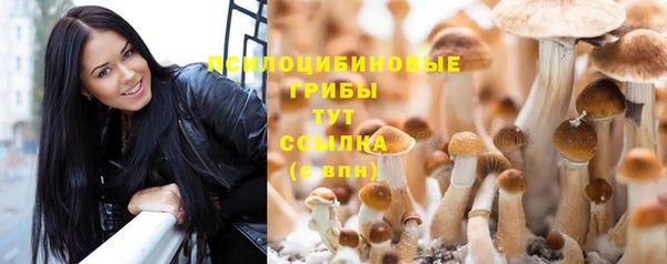 герыч Верея