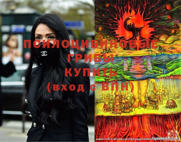 альфа пвп Верхнеуральск