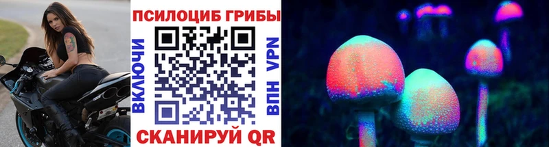 где найти наркотики  Калининград  Галлюциногенные грибы Psilocybe 